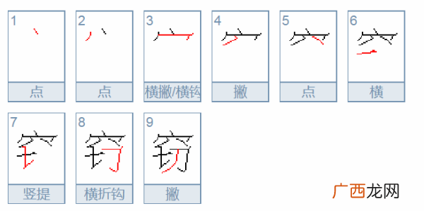 皮的笔顺怎么写,“皮”一共有多少笔划？