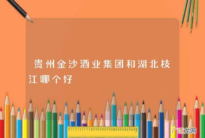 贵州金沙酒业集团和湖北枝江哪个好