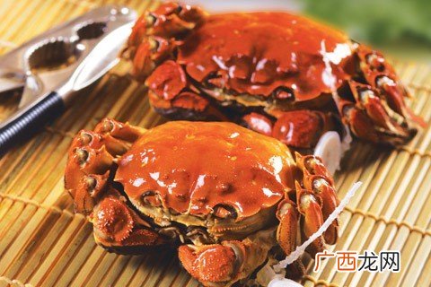 螃蟹吃什么食物,螃蟹怎么养，母的？