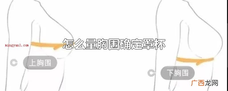 罩杯尺寸=胸围尺寸 怎么量胸围确定罩杯