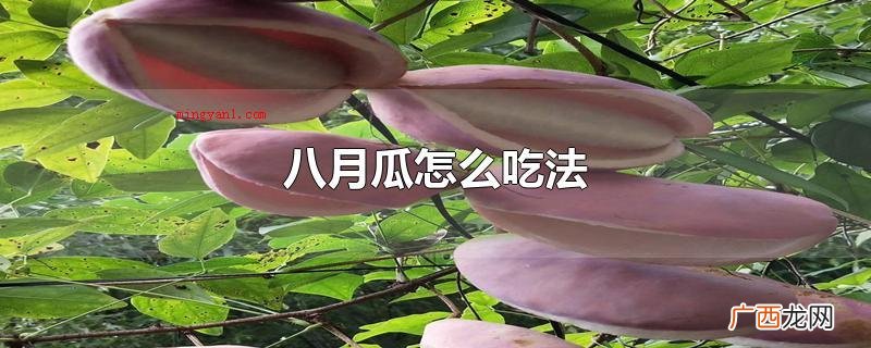 八月瓜可以立即食用或是混和老冰糖纯蜂蜜食用 八月瓜怎么吃法