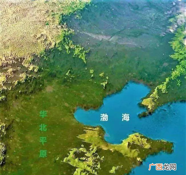 我国面积最大的海域,中国三大海域分别是什么？