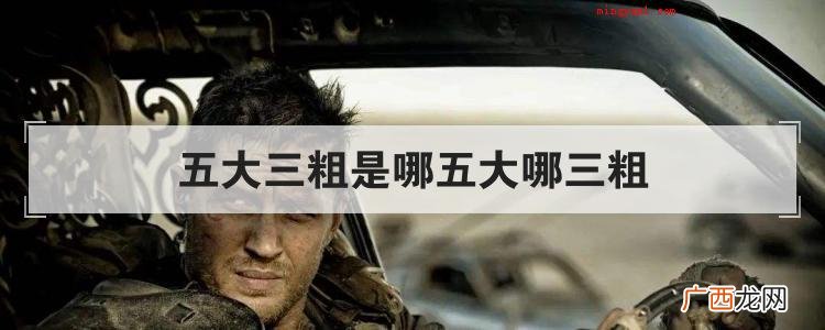 五大三粗到底是哪五大哪三粗? 五大三粗是哪五大哪三粗