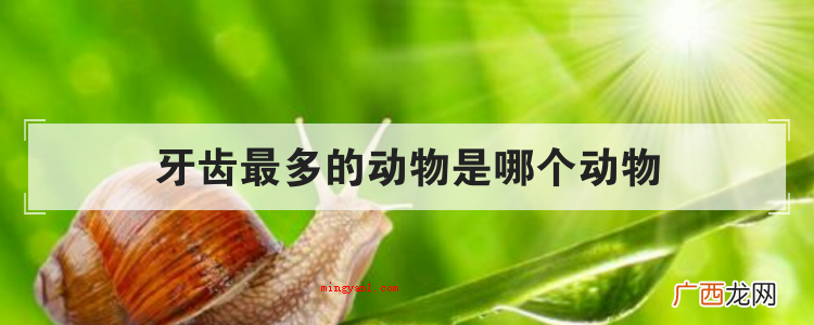 简略回应蜗牛是全世界牙齿较多的动物,有26000多个牙齿,牙 牙齿最多的动物是哪个动物