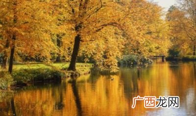 含秋字的诗句,与秋有关的诗句上下句？