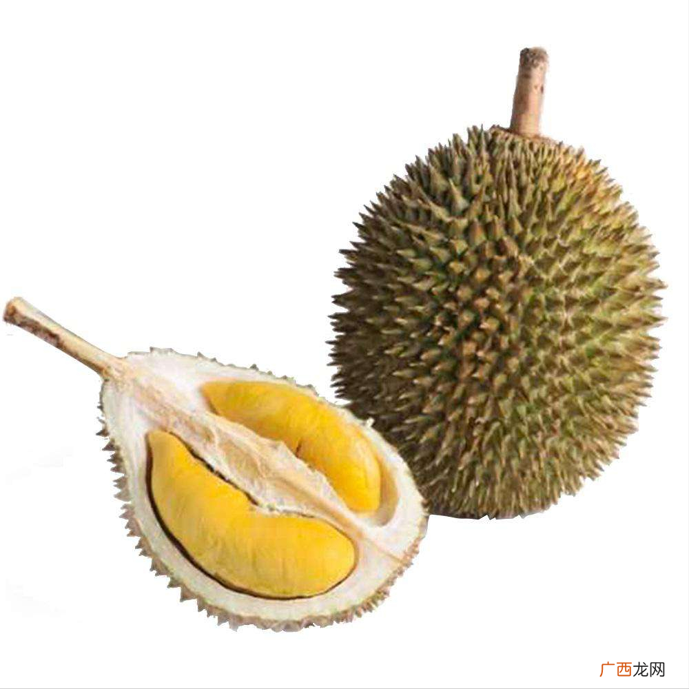 常见榴莲的区别及口感 树熟榴莲和金枕榴莲有啥区别