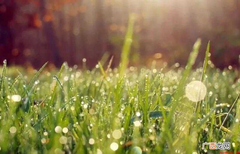 没有图片怎么发朋友圈