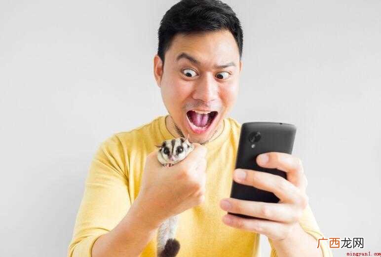 微信发送好友申请历史怎么看
