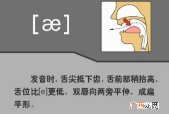 琦怎么读,念qi的字有哪些？