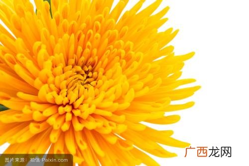 橘子颜色的词语,“桔子的颜色”用三个词语怎么形容?