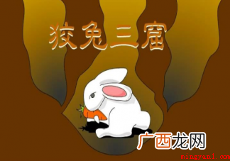 蚂蚁庄园投资学中狡兔三窟是为什么
