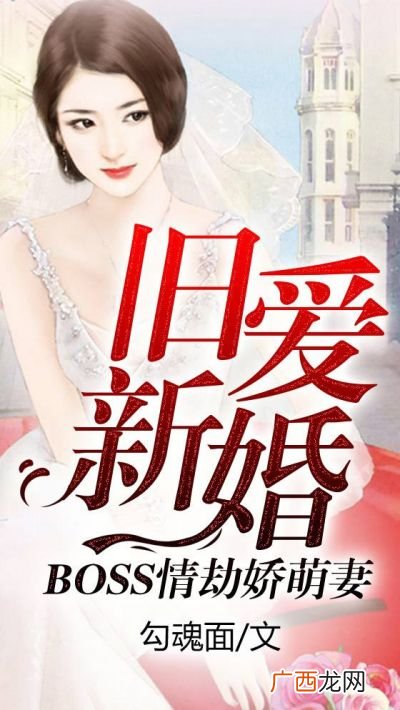 现代都市言情小说,已出版的都市言情小说？