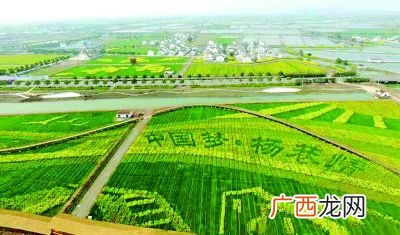 占地300亩是什么概念,400亩地相当于哪个建筑？