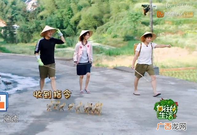 向往的生活哪里拍的,向往的生活第七季取景地？