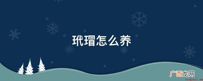 玳瑁饲养的方式_新闻中心 玳瑁怎么养