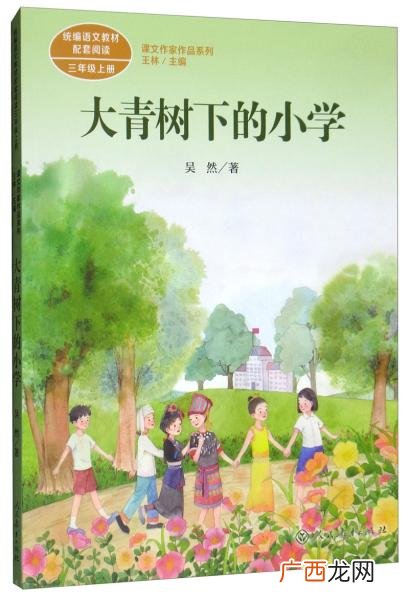 大青树下的小学特别之处是什么,大青树下的小学主要内容？