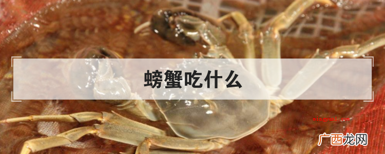简略回应螃蟹关键喜欢吃 螃蟹吃什么
