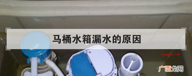 马桶水箱漏水的原因有哪些? 马桶水箱漏水的原因