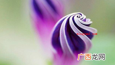 简略回应不由自主,源于南朝梁刘遵《七夕穿针》诗,意思是感情兴 情不自禁的禁是什么意思