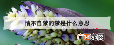 简略回应不由自主,源于南朝梁刘遵《七夕穿针》诗,意思是感情兴 情不自禁的禁是什么意思