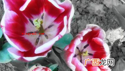 简略回应不由自主,源于南朝梁刘遵《七夕穿针》诗,意思是感情兴 情不自禁的禁是什么意思