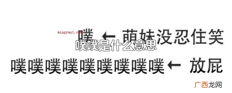 二字表明的是讲话者在笑的个人行为 噗噗是什么意思