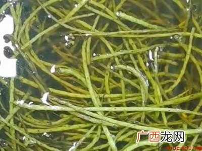 新鲜核桃花怎么处理