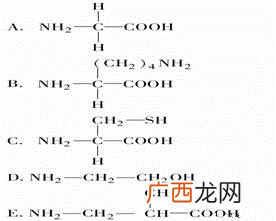 氨基酸有多少种,生物化学20种氨基酸分类？