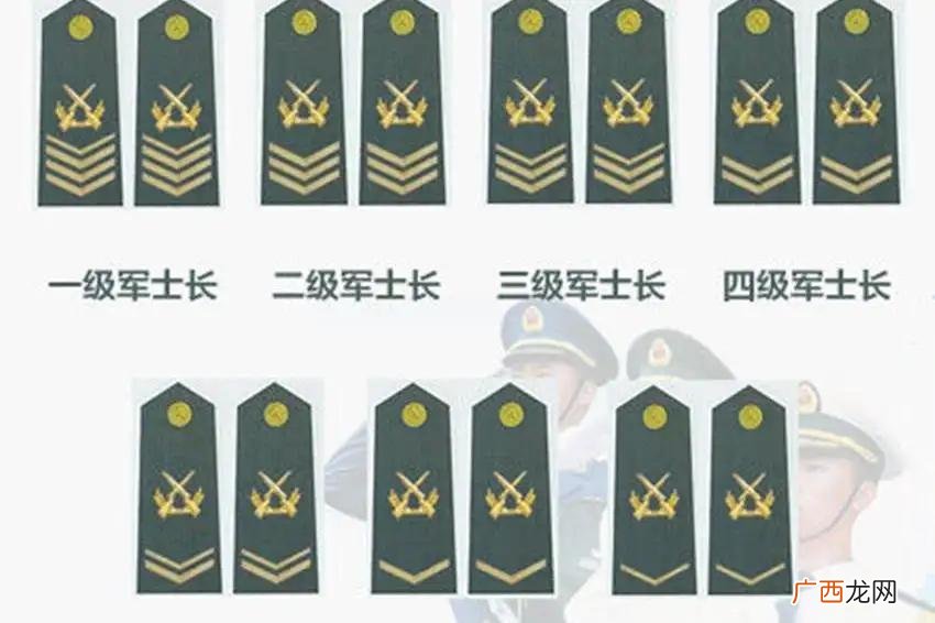 一级军士长有多大权力 军士长是什么军衔