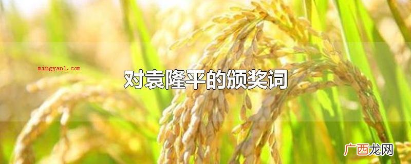 袁隆平的颁奖词是什么? 对袁隆平的颁奖词
