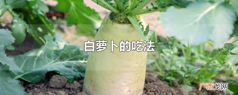 可生吃、熟菜,可凉拌、熬汤、清炖、腌渍、炒、蒸、炖、做丸子、 白萝卜的吃法