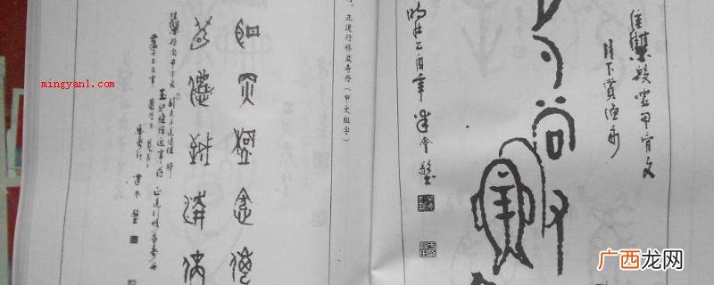 甲骨文最开始被发现于河南省安阳市西北方向小屯村一带,始于殷商 甲骨文起源于河南哪个地方