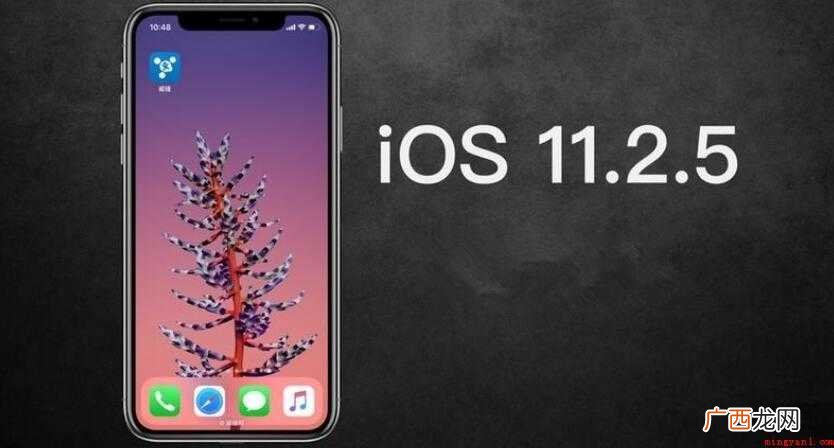 更新完ios11怎么取消