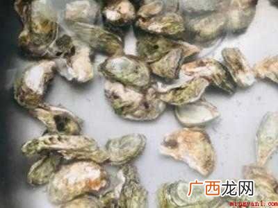 生蚝怎么做好吃又简单家常 生蚝怎么做好吃又简单家常的