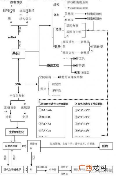 什么叫知识网络结构图,4g网络是什么网站?