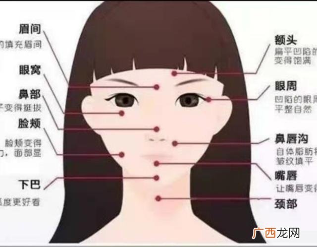 眼帘在脸部哪个部位,人脸各位置名称图?