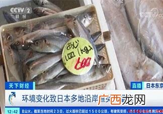 日本秋刀鱼价格暴涨是什么原因 日本秋刀鱼价格暴涨