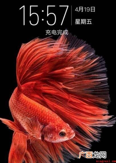 vivo Y29L演试型号:Funtouch OS3 vivo手机语音助手怎么打开唤醒