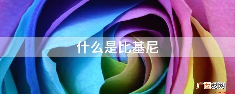 Bikini,中国香港称之为“比坚尼” 比基尼 什么是比基尼
