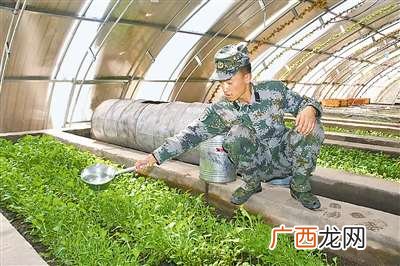 一畦地是多少,一畦意思？