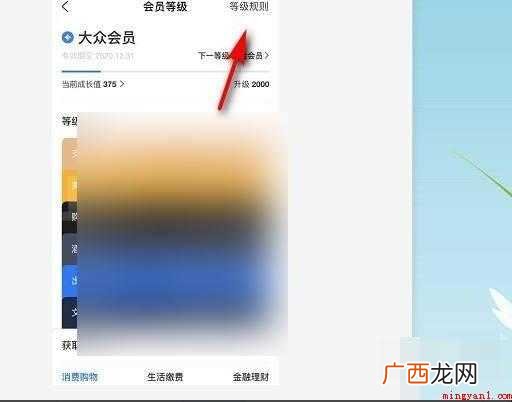怎么成为支付宝黄金会员