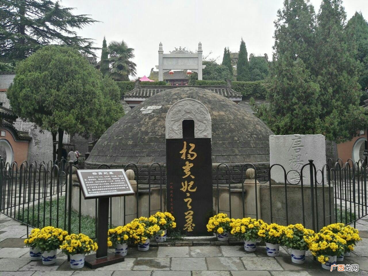 清平调开篇即千古名句 清平调其一其二其三的意思讲解