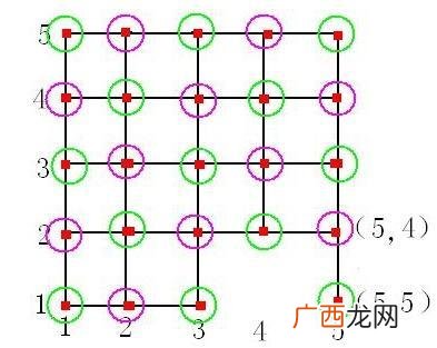 偶数有哪些什么是偶数,偶数的定义是什么？