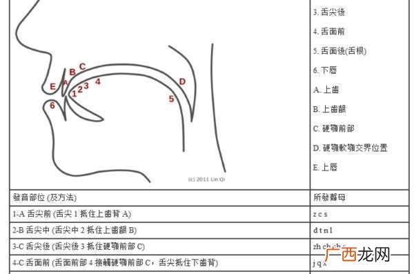 平舌音和翘舌音有哪些,舌音有哪些？
