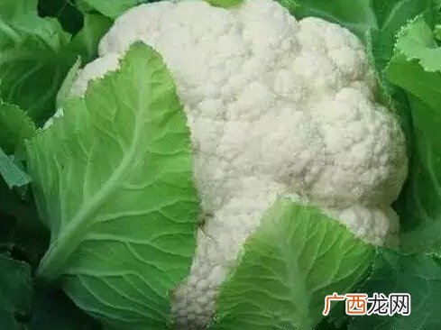 绿色的花菜是什么菜,花菜变绿了还能吃吗？