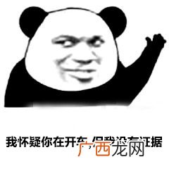 我怀疑你在开车但我没有证据是什么梗,吾疑汝驭车什么意思？