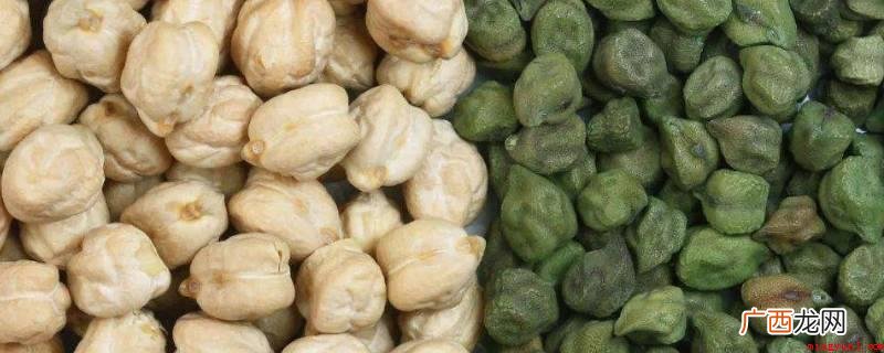 鹰嘴豆的青嫩豆粒、嫩叶均可作蔬菜水果 鹰嘴豆是豌豆吗