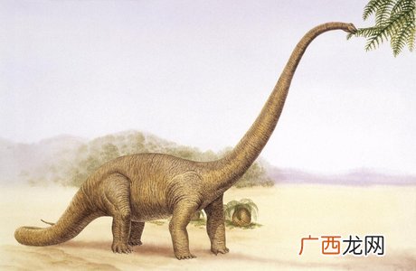 恐龙的名称叫什么,恐龙别名？