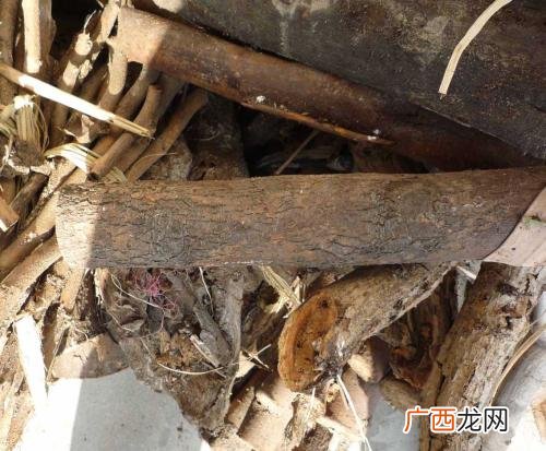 在家怎么自制木炭,家庭制作木炭的土闷法？
