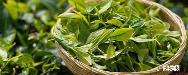 普洱茶干仓陈化的储存温度 干仓陈化的温湿度